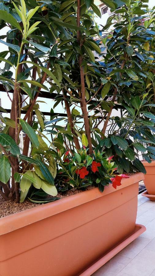 B&B Malaga Salerno Exterior foto